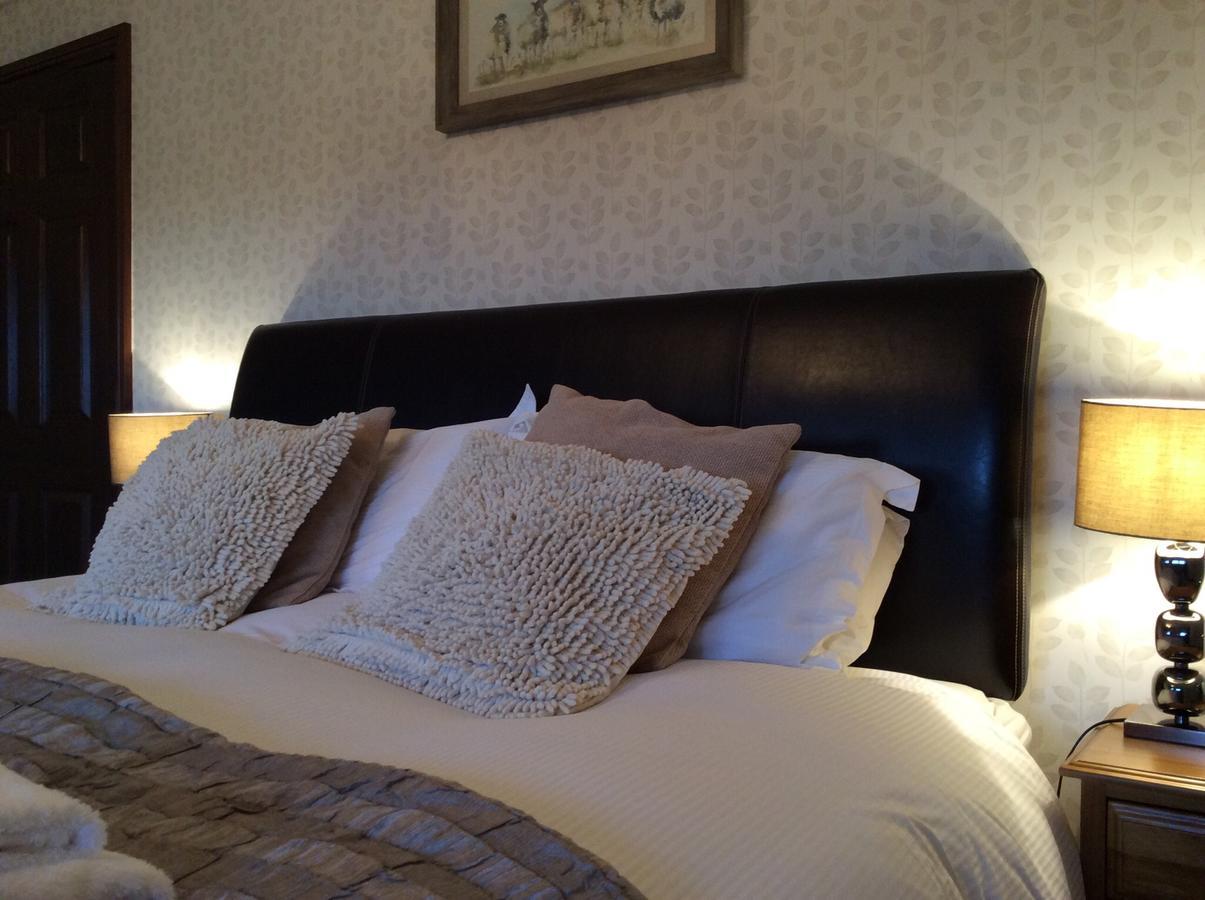 Bed and Breakfast Cysgod Y Garn Bala Exteriér fotografie